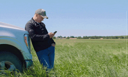 En gif hvor der vises hvordan det virtuelle hegn eShepherd fungerer