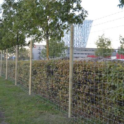 Ved en byggeplads er der opsat et byggepladshegn, som øger sikkerheden på pladsen