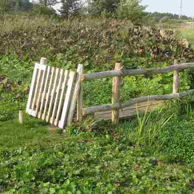 En trælåge åbner op til en gangbro i træ, som fører publikum over et sumpet areal