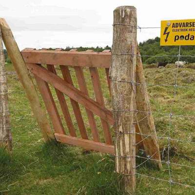 Fire får går i en indhegning af nethegn og elhegn. Hegnet har en trælåge som ind- og udgang