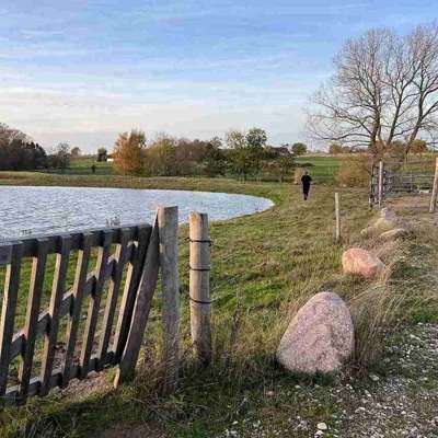Klaplågen fører ind til en fold lavet af elhegn. I midten af folden er der en sø