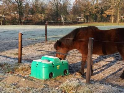 En vintermorgen står en hest og drikker af et drikkekar. Hesten står bagved et hegn