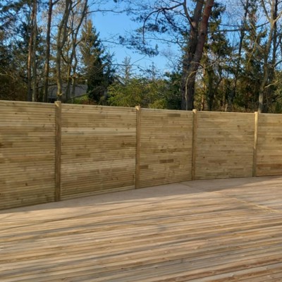 Privat billede fra partneren