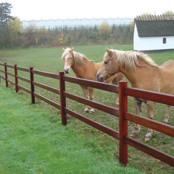 I forgrunden står to heste nær et Oxford lægtehegn. I baggrunden ses en staldbygning og et drivhus.