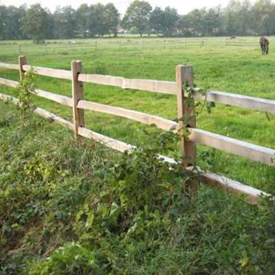 Et rustikt hestehegn i cedertræ afgrænser en eng, hvor to heste græsser.