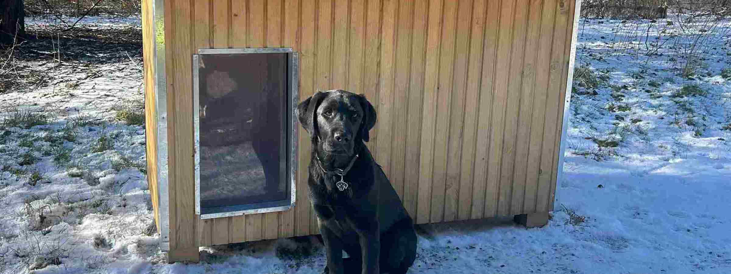 Sort hund sidder foran et Luksus hundehus i et vinterlandskab med sne på jorden.