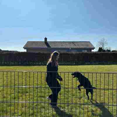 En kvinde der leger med sin hund