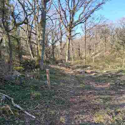 Privat billede fra partneren