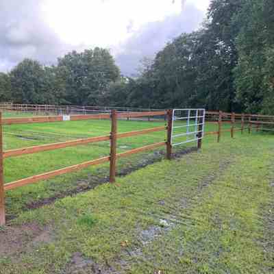 Hegnslinje der ender helt op til mur. På midten af strækningen er der en stållåge.