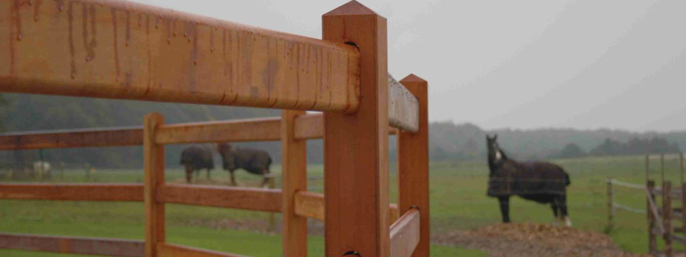 I forgrunden en roundpen af lægtehegn i hårdttræ. I baggrunden heste i en hestefold.