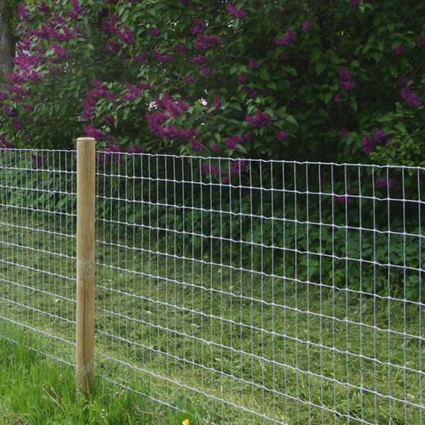 Multinet i en have med et hus i baggrunden