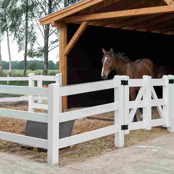 En brun hest står i et læskur og kigger ud i en lille fold omgivet af et hvidt hestehegn.