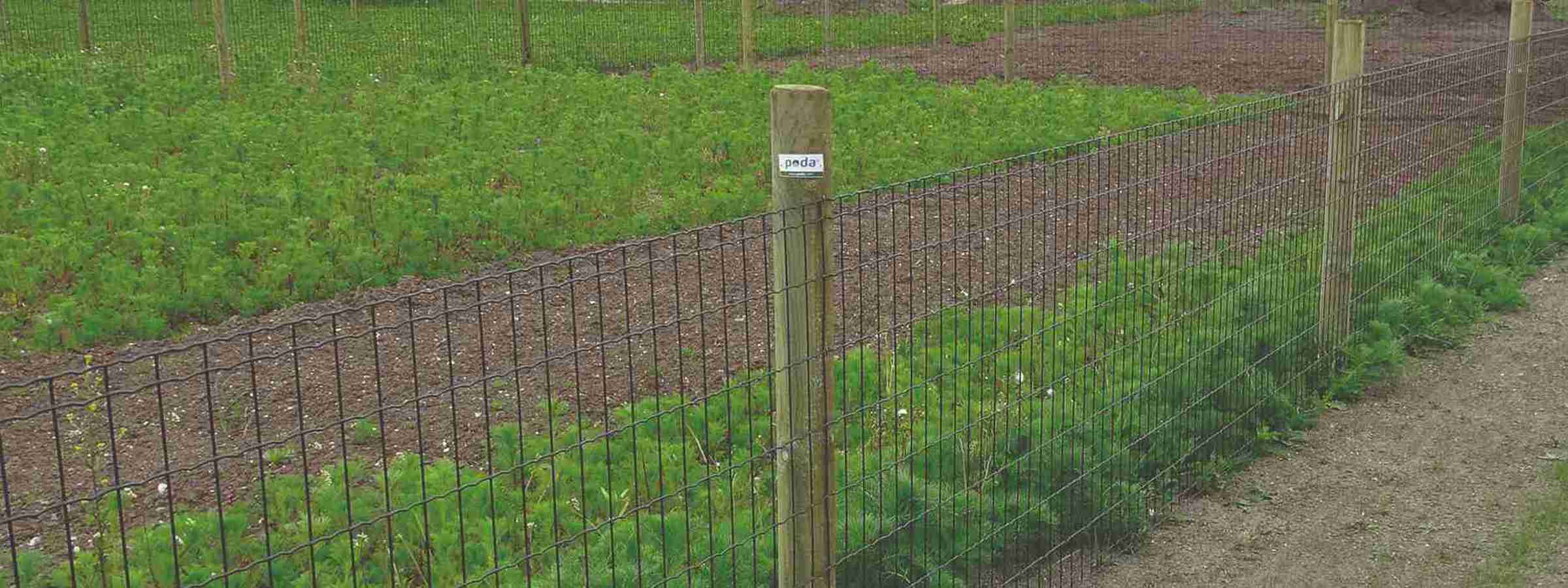 Havehegn Lux adskiller to grønne arealer