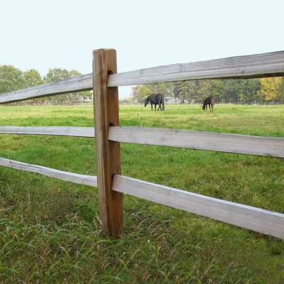 Mellem lægterne på et rustikt hestehegn kan tre heste ses græsse i en hestefold.