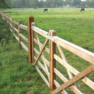 To trælåger og et rustikt hestehegn i cedertræ udgør en hestefold, hvor to heste går og græsser.