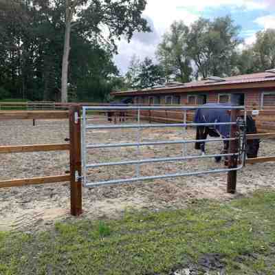 Hestefold afsluttet med en stållåge. Bag hegnet står en hest.