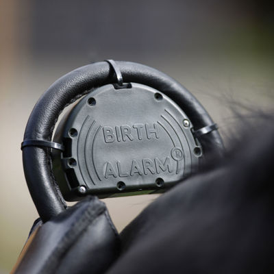 Et nærbillede af en folealarm