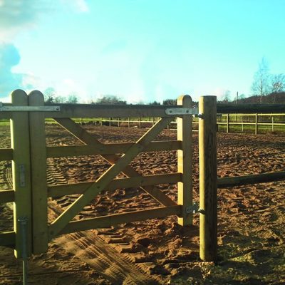 Farmerlåge Ridebane 2016