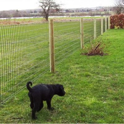 En lille sort hund løber rundt i haven, der er indhegnet med Lux havehegnet