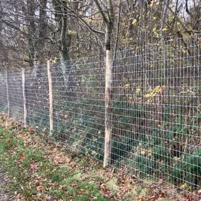 Et grønt område bliver beskyttet af et højt Multinet hegn på robiniepæle