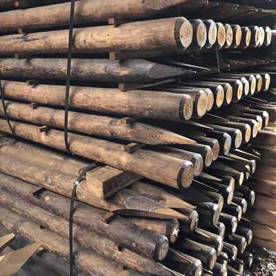 Stablede FaunaWood hegnspæle med spidse ender, bundtet med bånd.