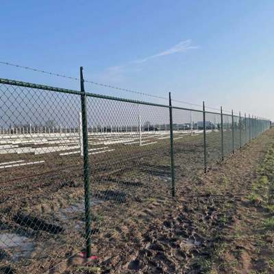 En solcellepark er beskyttet af et grønt flethegn