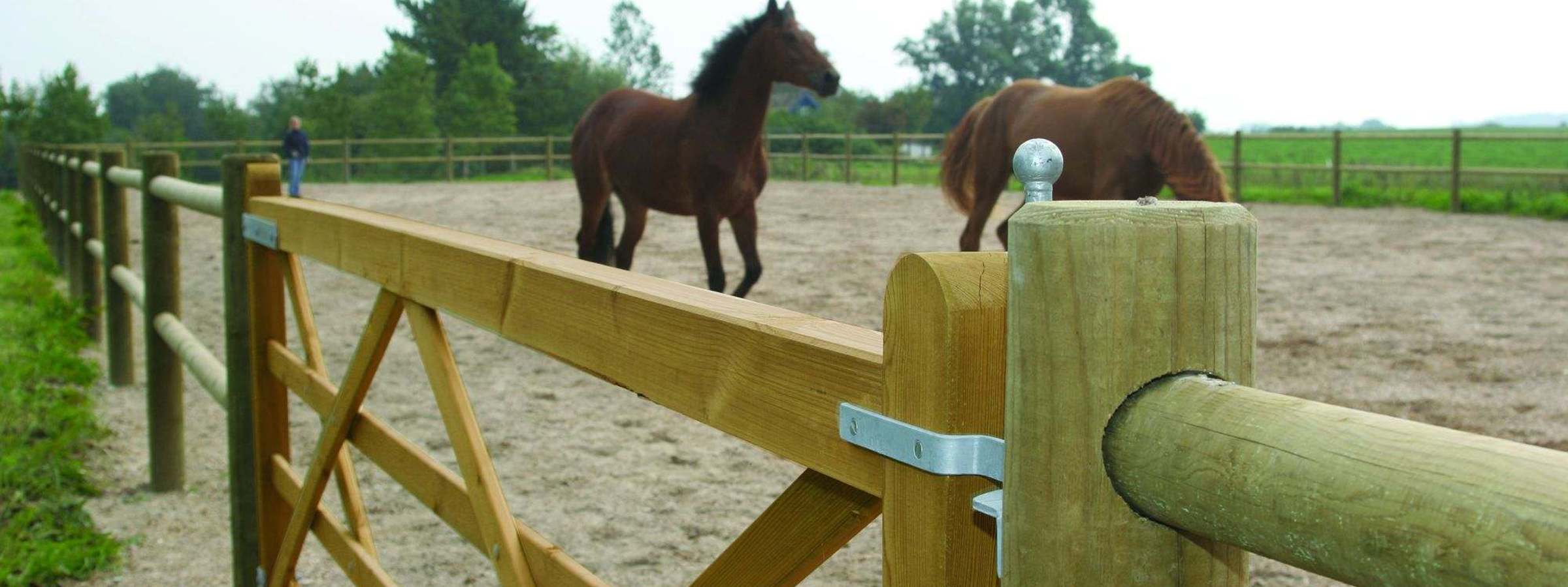 To heste går rundt i deres indhegning, som er afsluttet med en Country Farmer låge