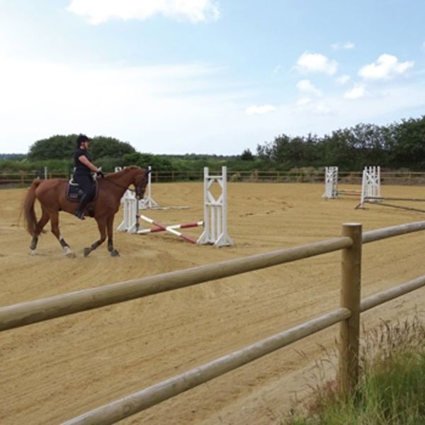 En kvindelig rytter fører hendes hest rundt på en ridebane med spring. Ridebanen er afgrænset af et hestehegn i træ.