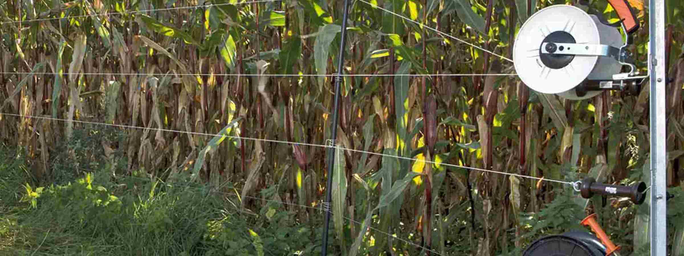 Batteri spændingsgiver der er tilsluttet et elhegn