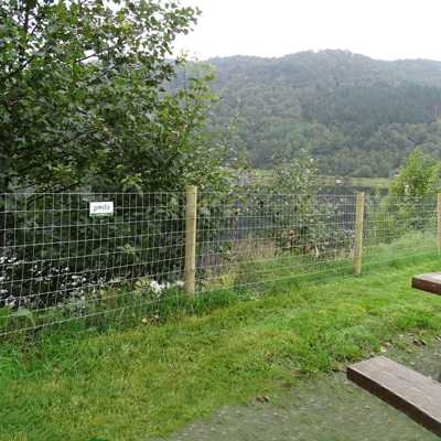 Et Multinet hegn indrammer en park, der ligger ud til en sø
