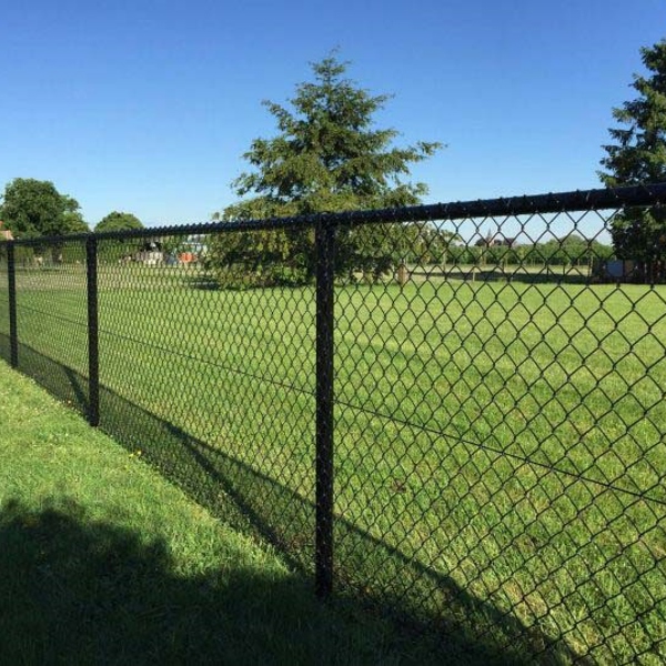 Et flethegn i en have med grønt græs