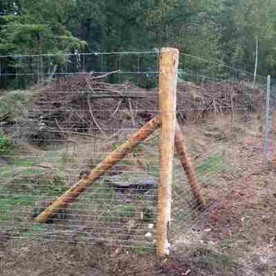 Hjørnet af et skovhegn med en træpæl. Lavet i nethegn.