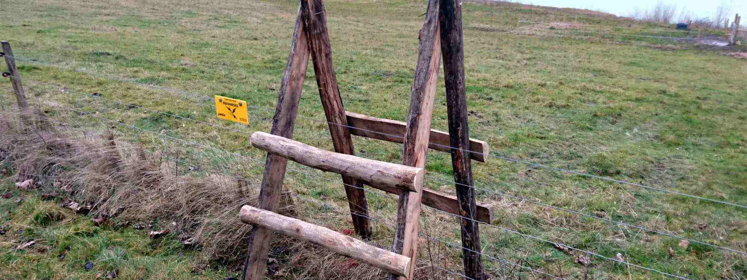Hegnslinje med en trappe i træ, hvor man kan komme over på den anden side