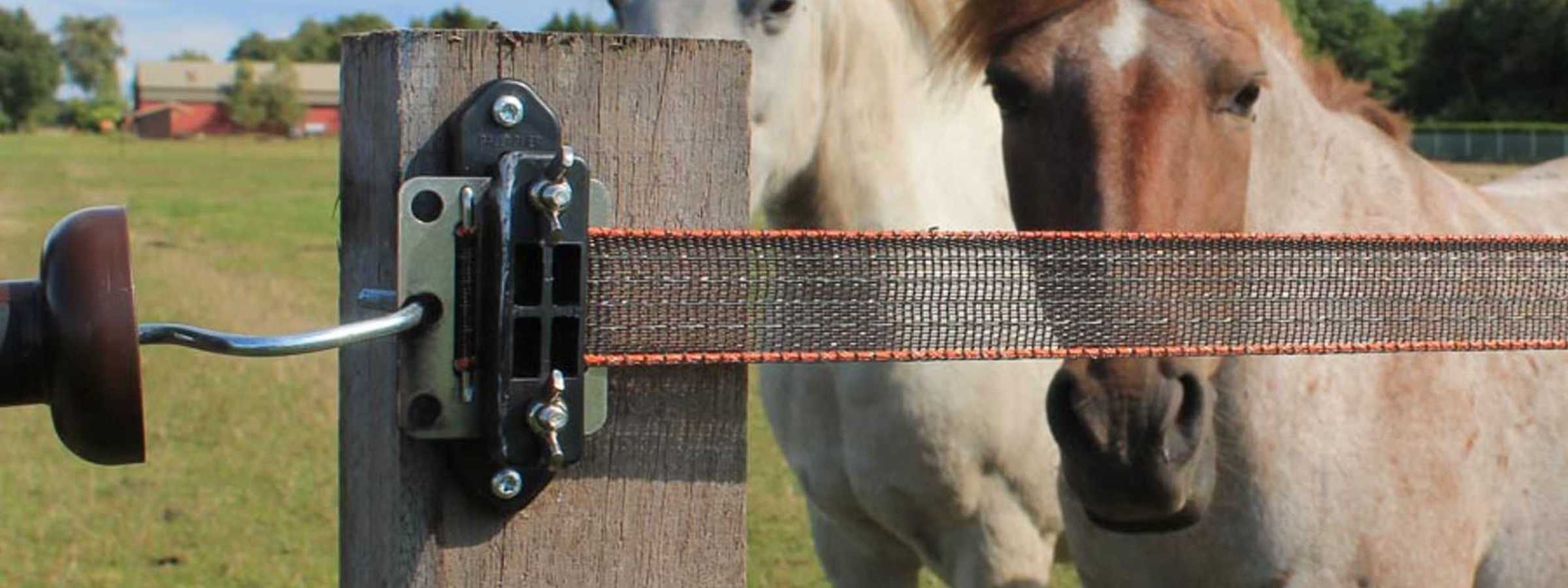 To heste står tæt ved en ledåbning i deres hestefold. Elhegnet er et Polytape hegn.