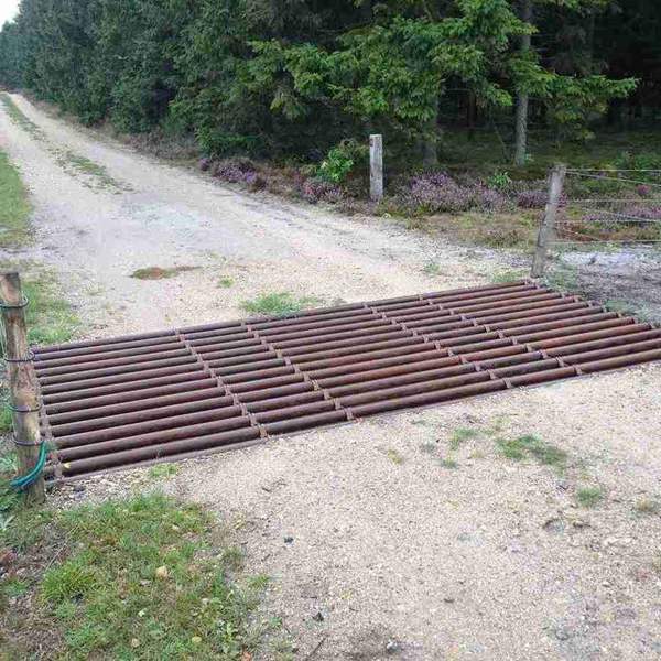 En færist ved en hede