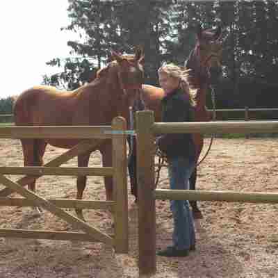 En dame står, sammen med sine to heste, bag et lægtehegn og en Country Farmer låge