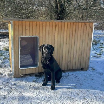 Sort hund sidder foran et Luksus hundehus i et vinterlandskab med sne på jorden.
